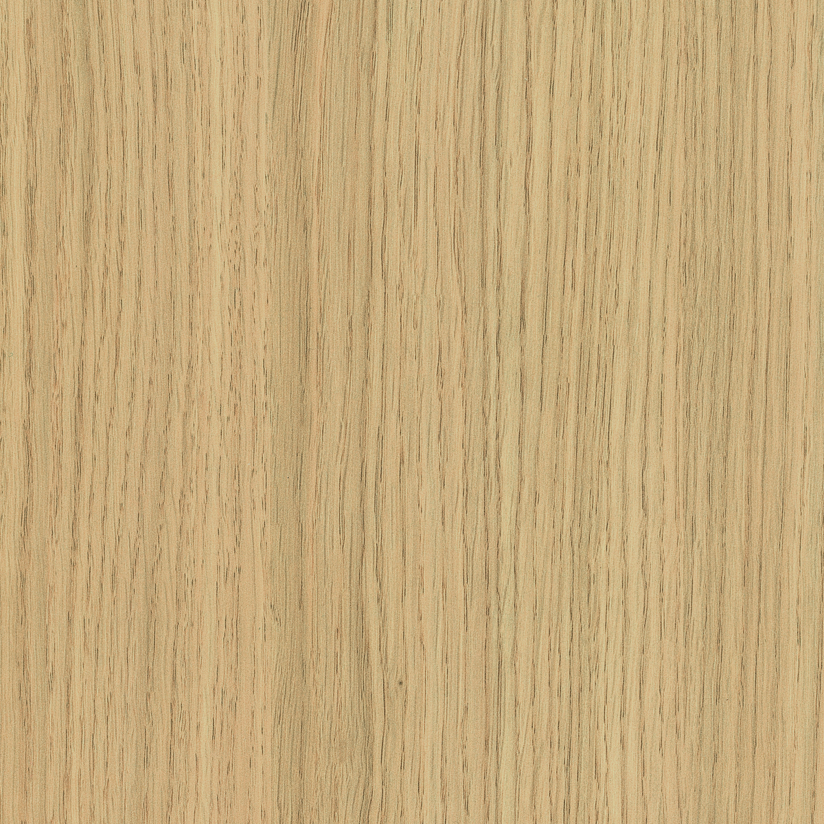 Vicenza Oak, 38mm Postformed, Egger Laminate Worktop, Breakfast Bar, S ...